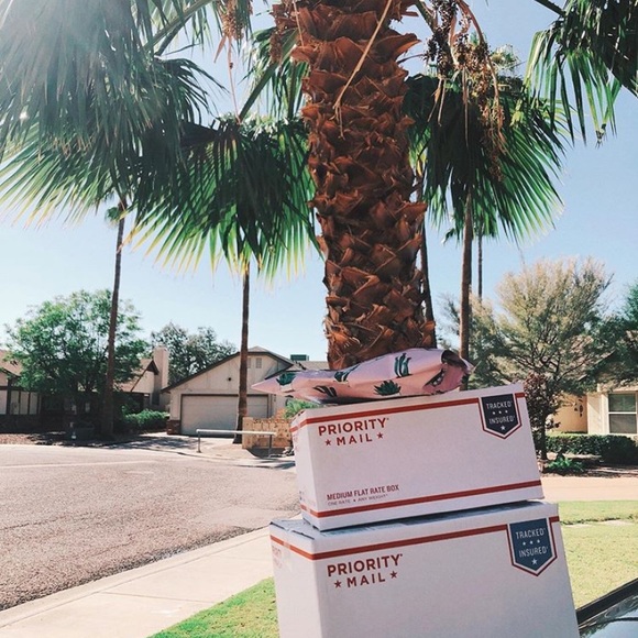 ✨✨✨✨✨✨✨✨ - Picture 11 of 14